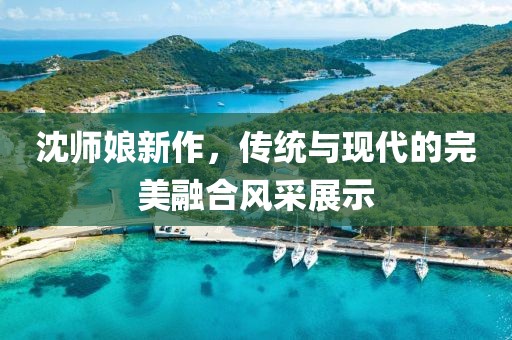 沈师娘新作，传统与现代的完美融合风采展示