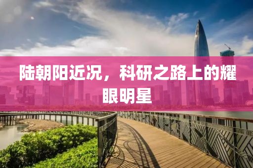 陆朝阳近况，科研之路上的耀眼明星