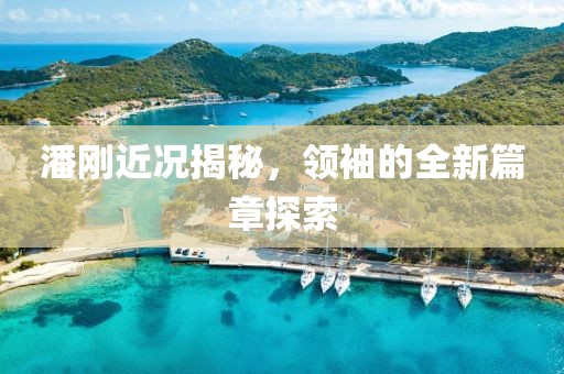 潘刚近况揭秘，领袖的全新篇章探索