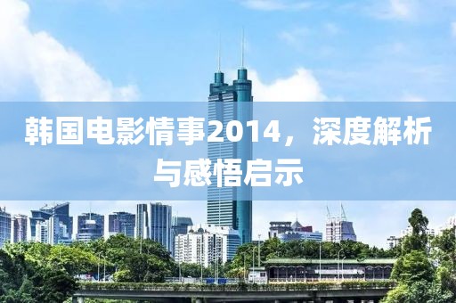 韩国电影情事2014，深度解析与感悟启示