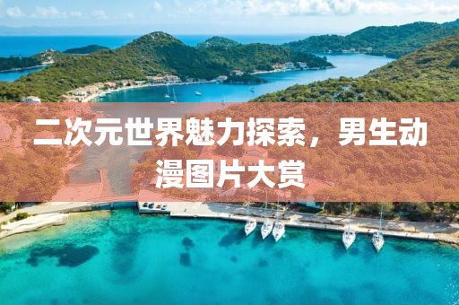 二次元世界魅力探索，男生动漫图片大赏