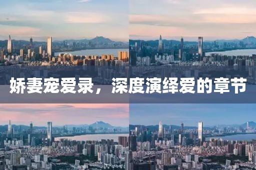 娇妻宠爱录，深度演绎爱的章节