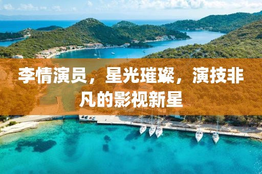 李情演员，星光璀璨，演技非凡的影视新星