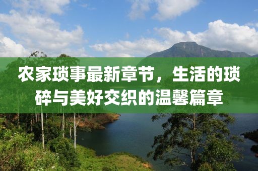农家琐事最新章节，生活的琐碎与美好交织的温馨篇章