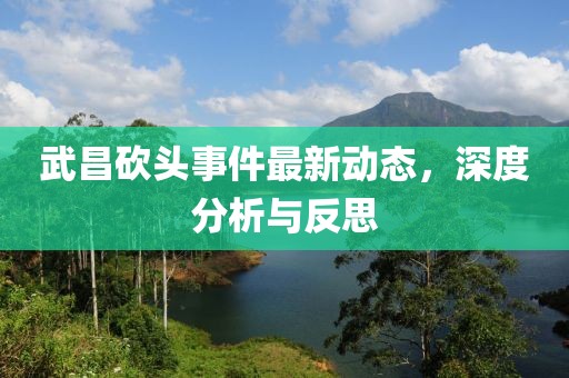 武昌砍头事件最新动态，深度分析与反思