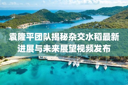 袁隆平团队揭秘杂交水稻最新进展与未来展望视频发布