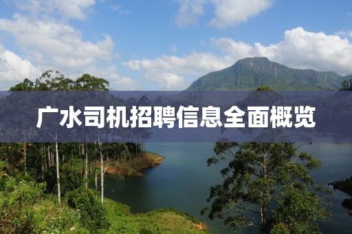 广水司机招聘信息全面概览