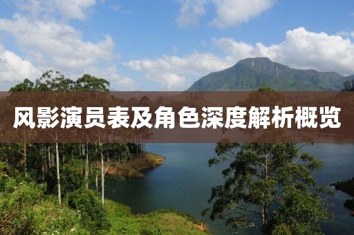 风影演员表及角色深度解析概览