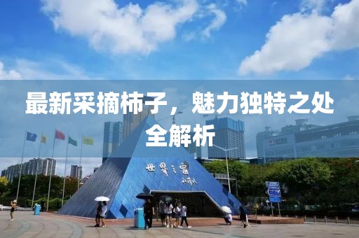 最新采摘柿子，魅力独特之处全解析