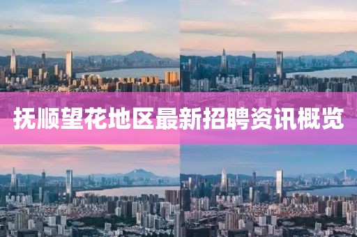 抚顺望花地区最新招聘资讯概览