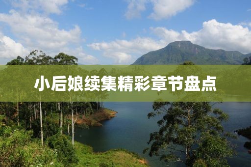 小后娘续集精彩章节盘点