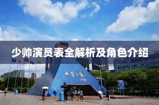 少帅演员表全解析及角色介绍