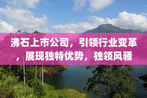 沸石上市公司，引领行业变革，展现独特优势，独领风骚
