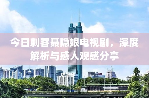 今日刺客聂隐娘电视剧，深度解析与感人观感分享