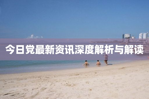 今日党最新资讯深度解析与解读