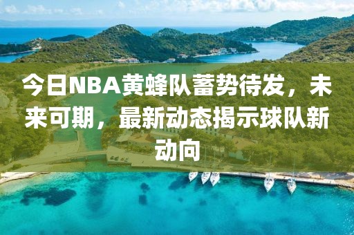 今日NBA黄蜂队蓄势待发，未来可期，最新动态揭示球队新动向