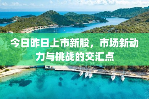 今日昨日上市新股，市场新动力与挑战的交汇点