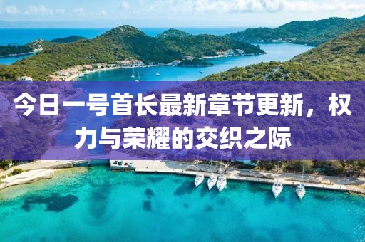 今日一号首长最新章节更新，权力与荣耀的交织之际