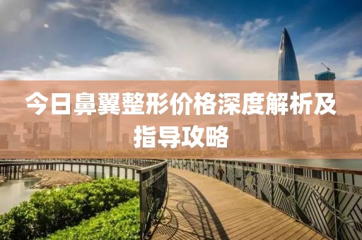 今日鼻翼整形价格深度解析及指导攻略