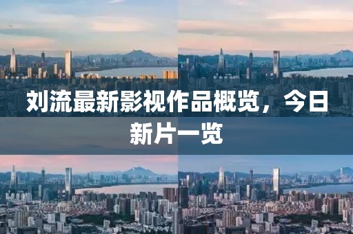刘流最新影视作品概览，今日新片一览