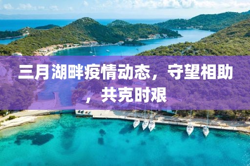 三月湖畔疫情动态，守望相助，共克时艰