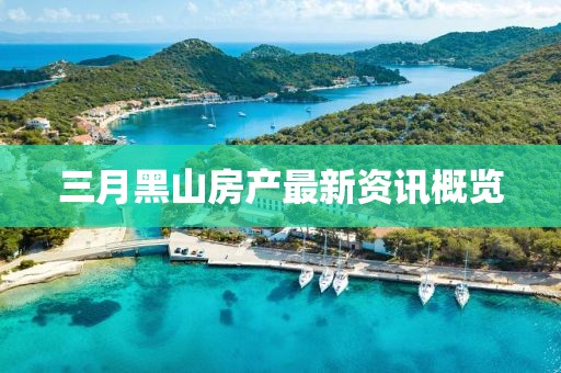 三月黑山房产最新资讯概览