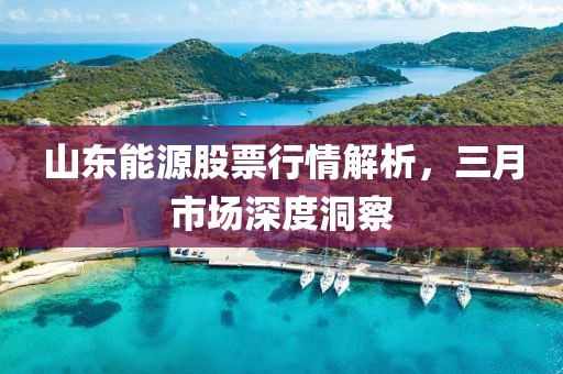 山东能源股票行情解析，三月市场深度洞察