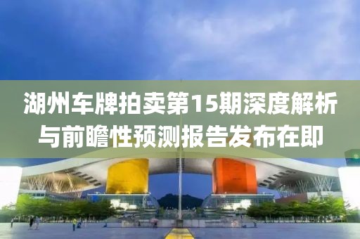 湖州车牌拍卖第15期深度解析与前瞻性预测报告发布在即