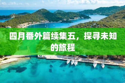 四月番外篇续集五，探寻未知的旅程