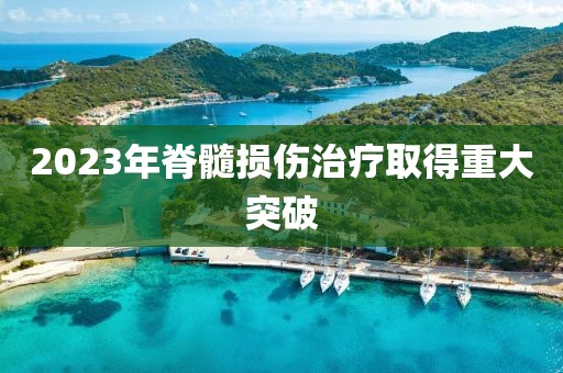 2023年脊髓损伤治疗取得重大突破