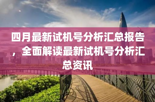 三润环境 第46页