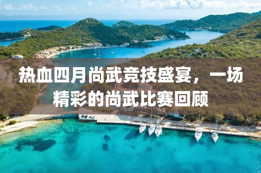 热血四月尚武竞技盛宴，一场精彩的尚武比赛回顾