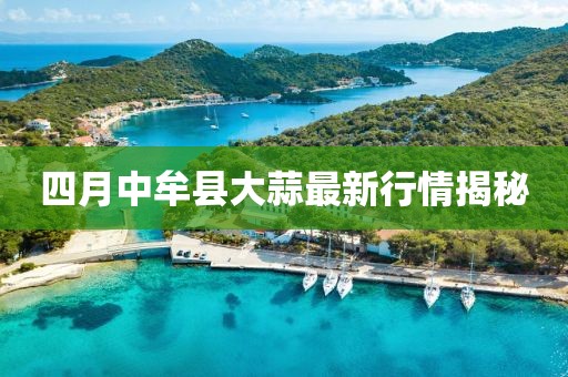 四月中牟县大蒜最新行情揭秘