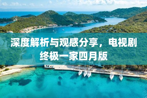 深度解析与观感分享，电视剧终极一家四月版