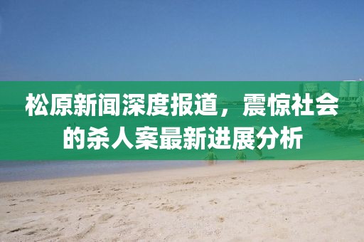 松原新闻深度报道，震惊社会的杀人案最新进展分析