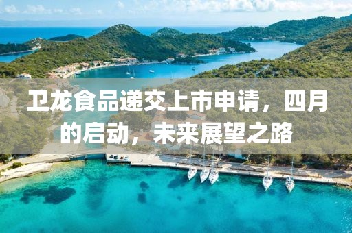 卫龙食品递交上市申请，四月的启动，未来展望之路
