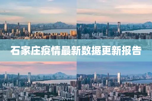 石家庄疫情最新数据更新报告