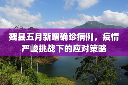魏县五月新增确诊病例，疫情严峻挑战下的应对策略