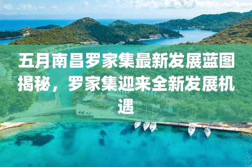 五月南昌罗家集最新发展蓝图揭秘，罗家集迎来全新发展机遇