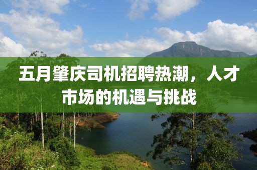 五月肇庆司机招聘热潮，人才市场的机遇与挑战