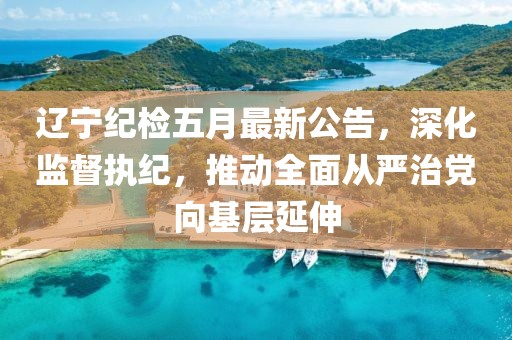 辽宁纪检五月最新公告，深化监督执纪，推动全面从严治党向基层延伸