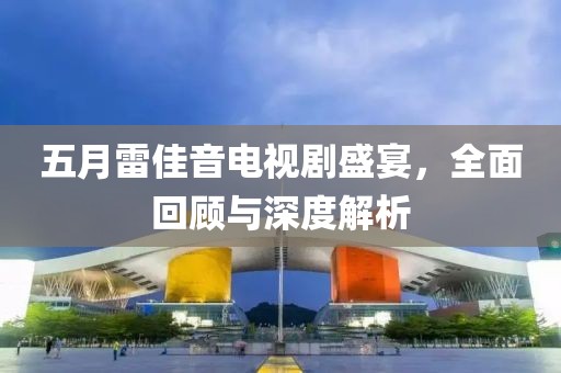 五月雷佳音电视剧盛宴，全面回顾与深度解析
