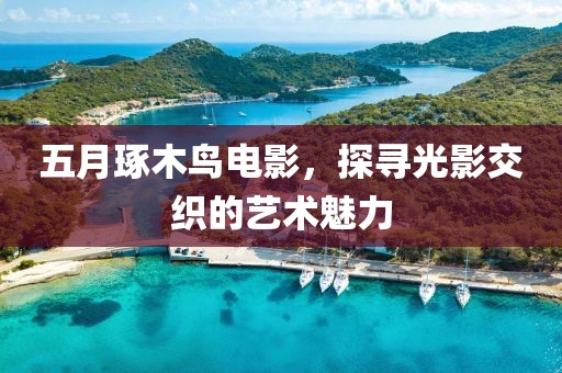 五月琢木鸟电影，探寻光影交织的艺术魅力