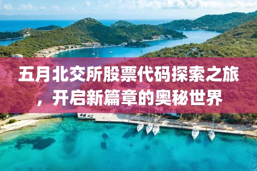 五月北交所股票代码探索之旅，开启新篇章的奥秘世界