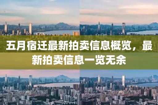 五月宿迁最新拍卖信息概览，最新拍卖信息一览无余
