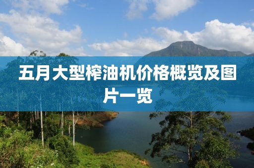 五月大型榨油机价格概览及图片一览