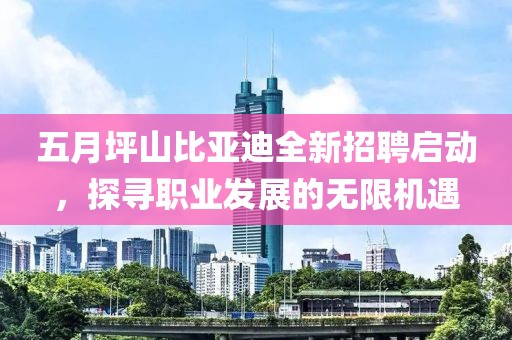 五月坪山比亚迪全新招聘启动，探寻职业发展的无限机遇