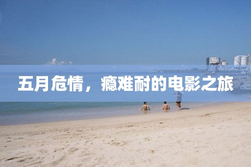 五月危情，瘾难耐的电影之旅