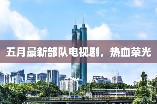 五月最新部队电视剧，热血荣光