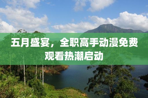 五月盛宴，全职高手动漫免费观看热潮启动